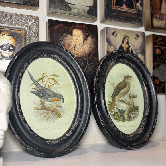 Rustic Ornithology Bird Prints – Distressed Oval Frames, Set of‎ 2 - Picture 1 of 6